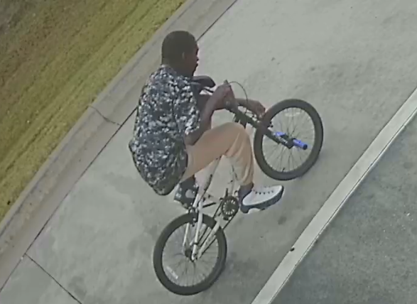 bike theft suspect
