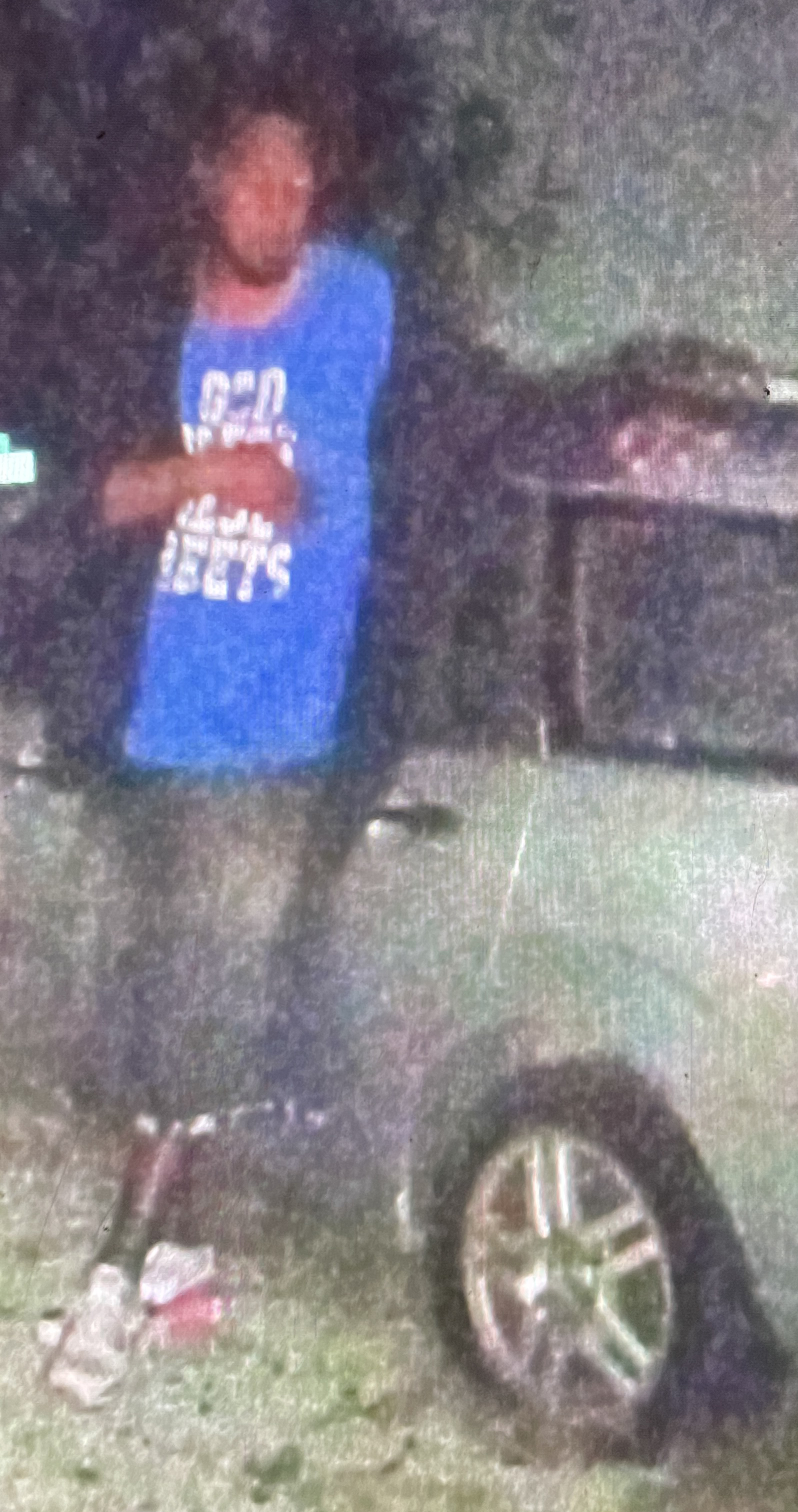 W Highland Street suspect